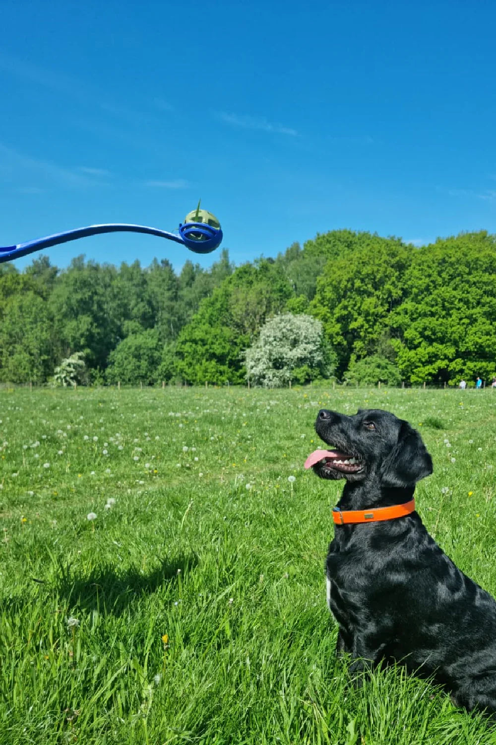 Chewtopia Eco Dog Ball Launcher