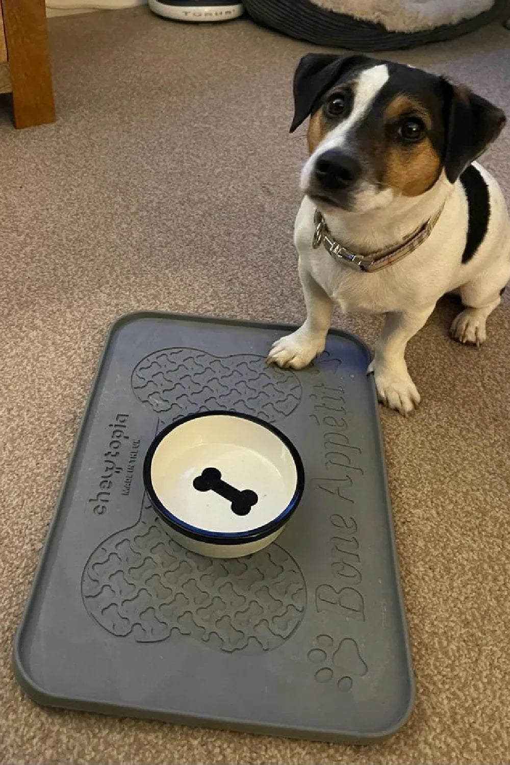Chewtopia Bone Appetit Pet Bowl Mat