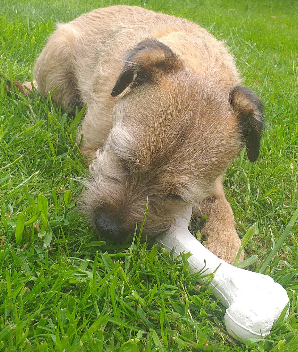 Chewtopia Eco Dog Chew Bone