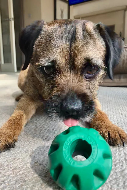 Chewtopia Eco Dog Treat Ball