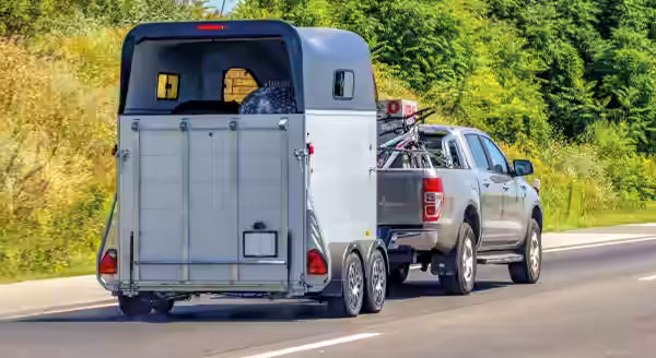 Gray pickup truck towing a horse trailer on a road with greenery in the background