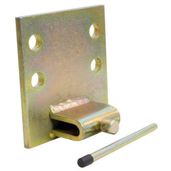 Spare Snakemaster Car Plate - Towsure