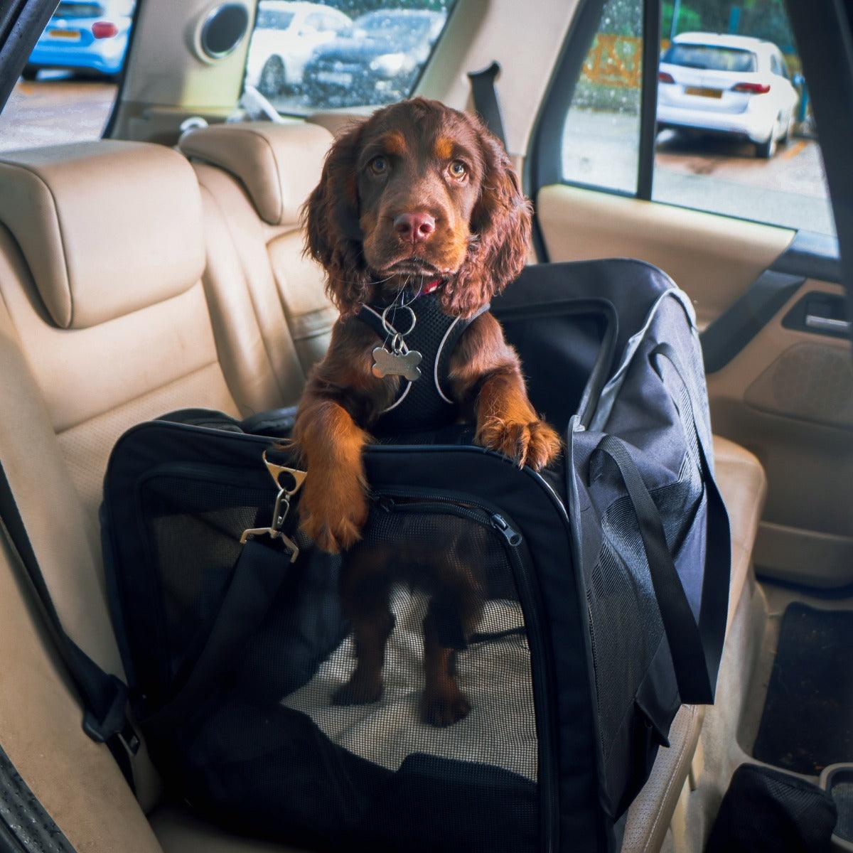 Streetwize Folding Pet Car Carrier (Small-Medium) - Towsure